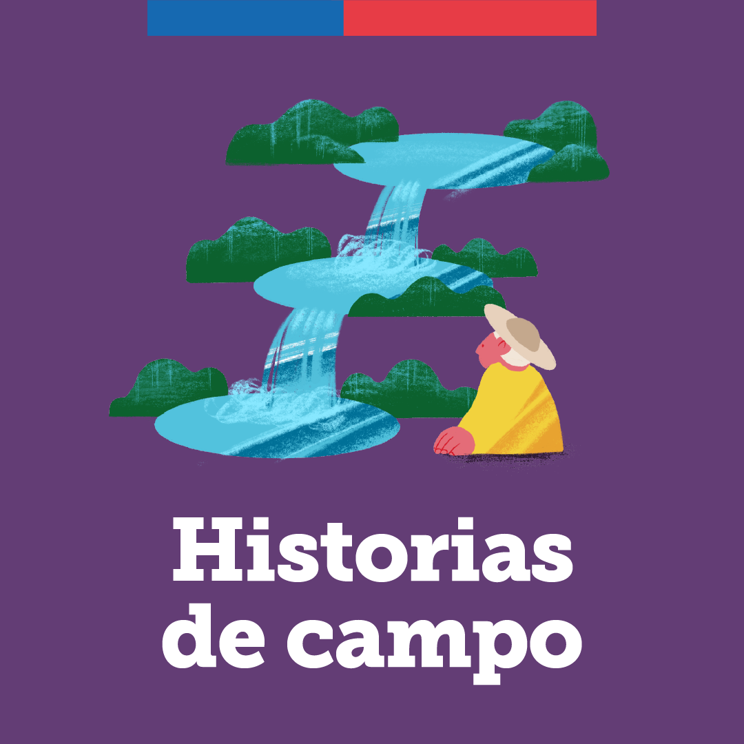 imagen del audio