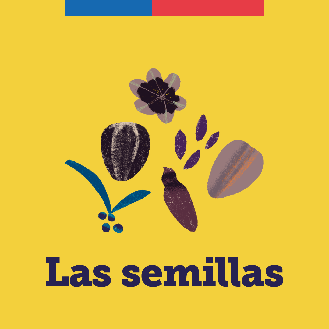 imagen del audio